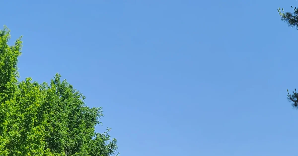 자연 이미지14