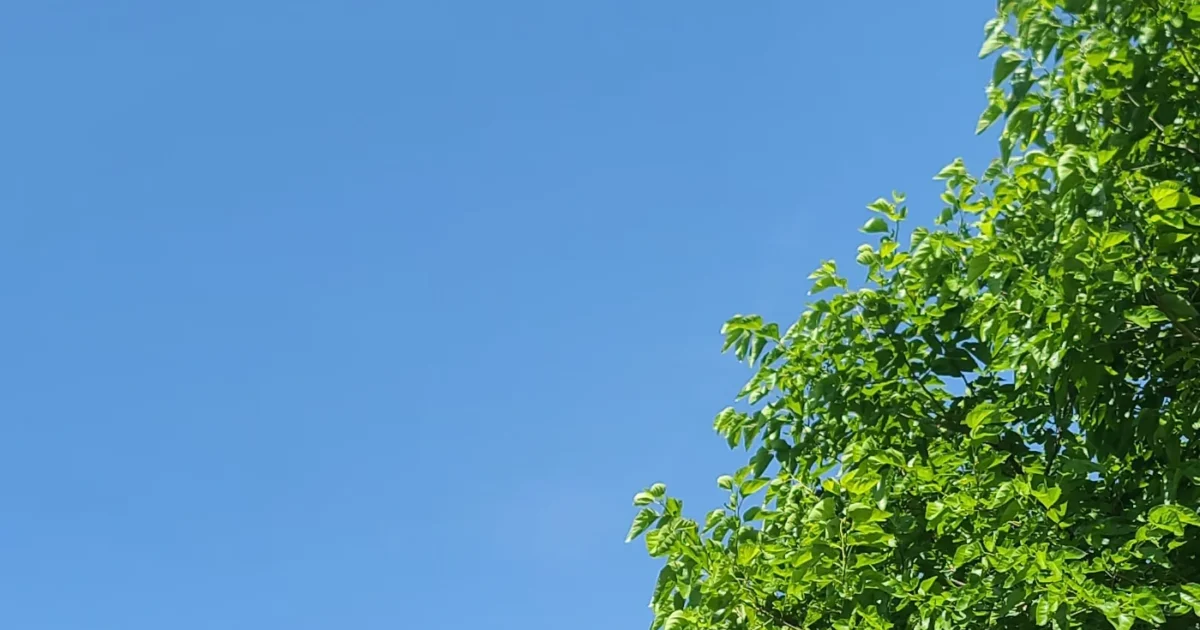 자연 이미지15
