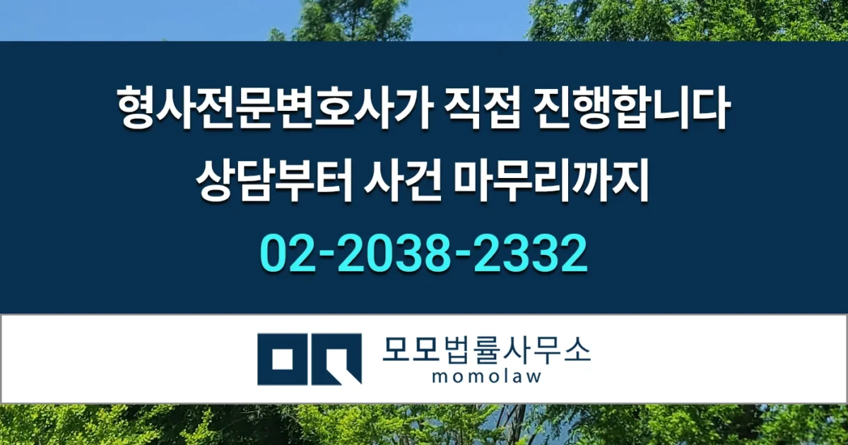 모모법률사무소 형사전문변호사 직접 진행3 안내